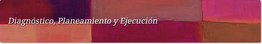 Estrategias y Acciones Judiciales